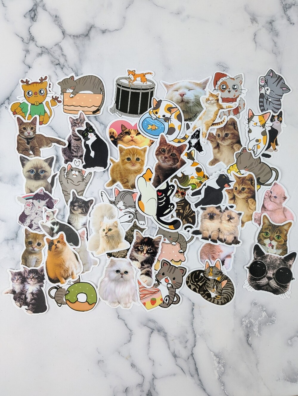 Cat sticker lot 47 scrapbook water bottles computer kittiesβ